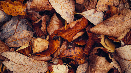 eugene-golovesov-SUvAYIkMm80-unsplash.jpg